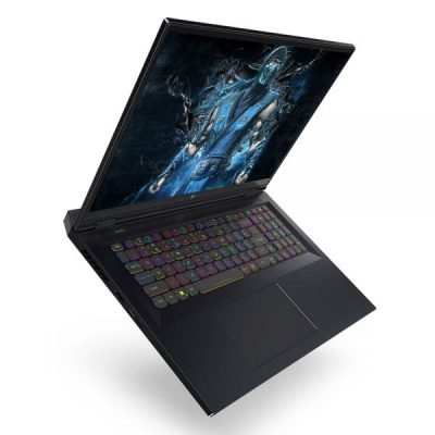 Acer Predator Helios 300 i9 13th Gen